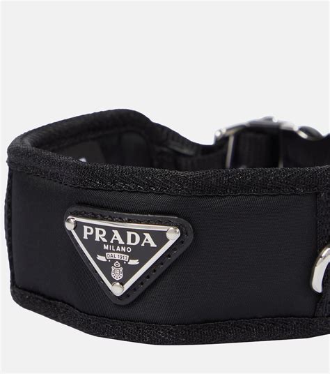 hundehalsband prada|Nylon dog collar in black .